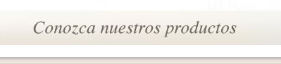 “galletas